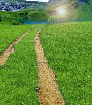 fb55bc0586a0658031e59b70b1d4ece1-min